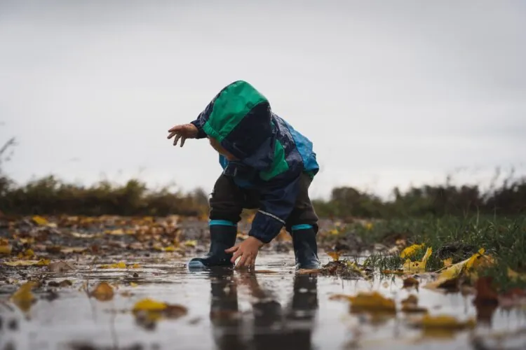 Autumn’s income shocks: Challenges, effects and help available