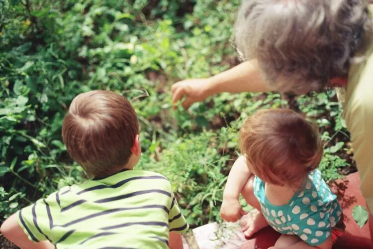 How three London boroughs used data to increase Healthy Start claims by over 5%