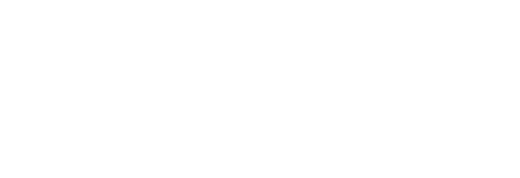 Rotherham Metropolitan Borough council logo