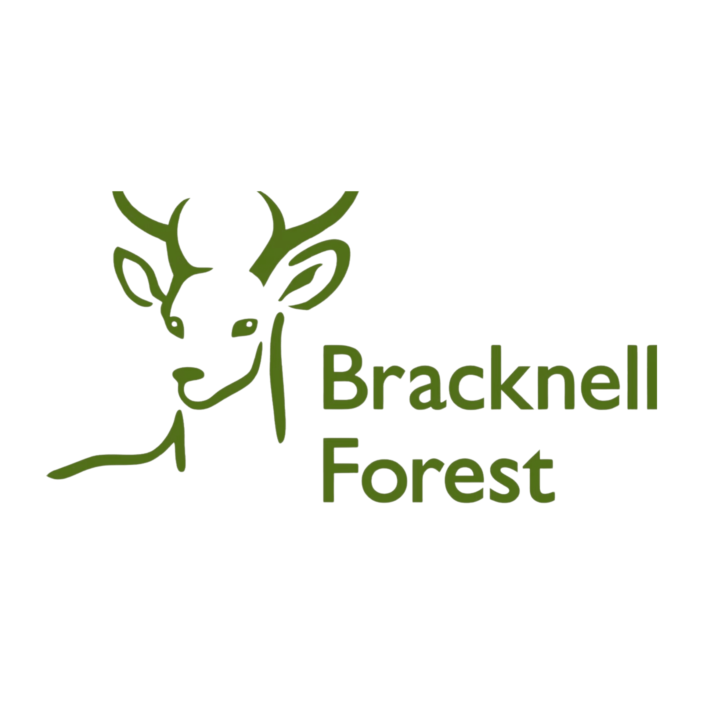 Bracknell Forest Logo