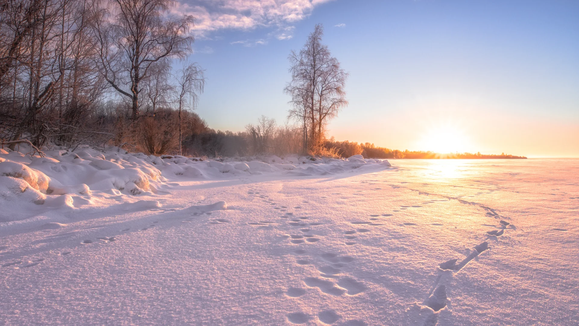 Snowy landscape